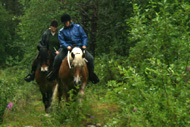 Jenni och Dorte på skogstur med hästarna