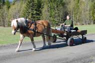 Röding med sin nya vagn